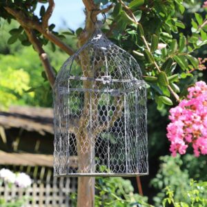 Cage à oiseaux décorative ancienne grillagée métal gris 23x17x45cm