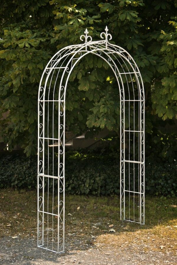 Arche à rosiers Sun Blanc antique – Image 2