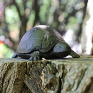Tortue boîte clé clef cache clé clef extérieur fonte marron 14cm