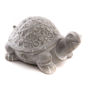 Tortue pierre pm
