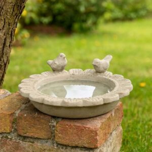 Mangeoire à oiseaux abreuvoir jardin fleur ancien béton gris 24cm